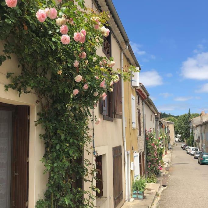 La Maison De Mama C: Charming French Village Home Sainte-Colombe-sur-l'Hers ภายนอก รูปภาพ